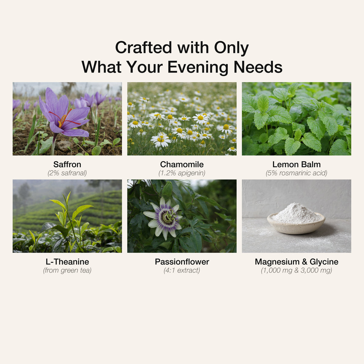 Vanilla Night Latte